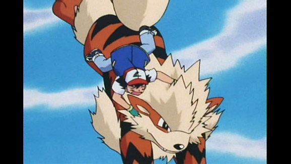 Pokémons de Transporte - Arcanine