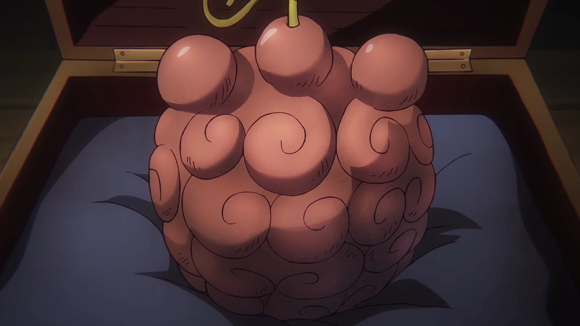 nikyu nikyu no mi