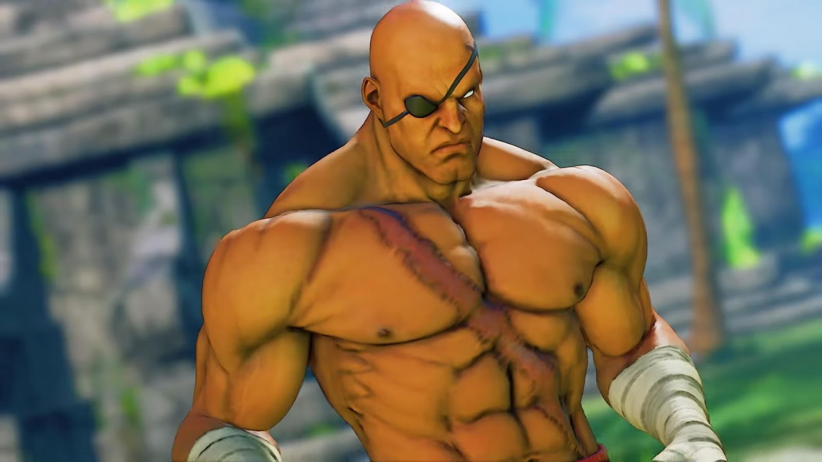Sagat